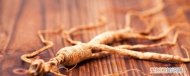 人参发霉了怎么办 人参发霉了怎么处理《人参发霉了如何处理》