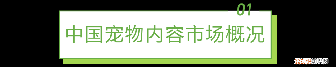 中国宠物行业白皮书下载，2021年中国宠物内容价值研究白皮书