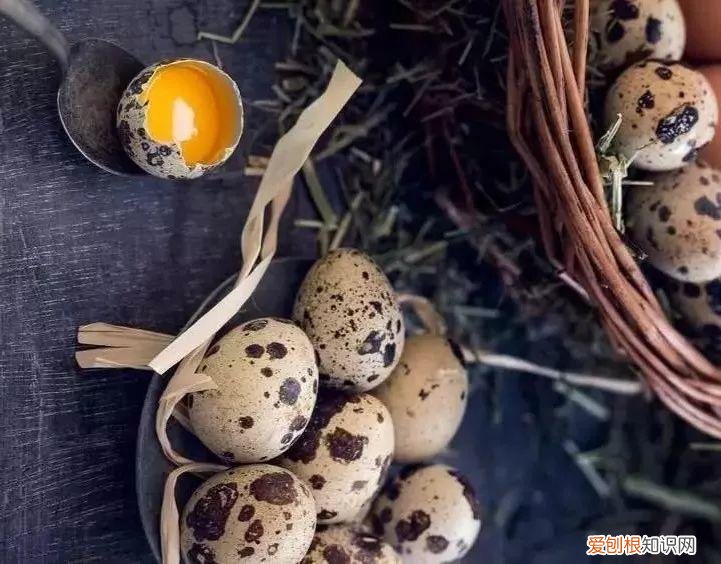鸡蛋坏了可以直接放花盆做肥料吗，鸡蛋就是万能肥，盆里埋一颗，3个月结出大草莓！
