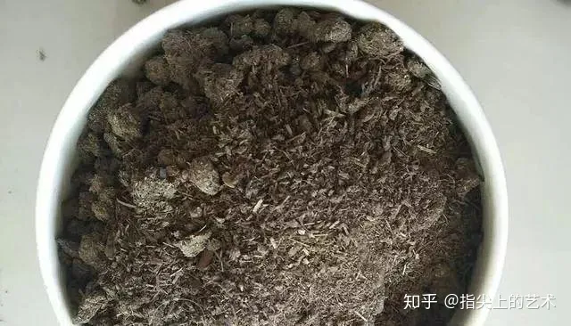 花盆里加什么能让土不结块儿，把“这些”丢花盆里养花，肥料都不用给了，土不板结，花儿蹭蹭长