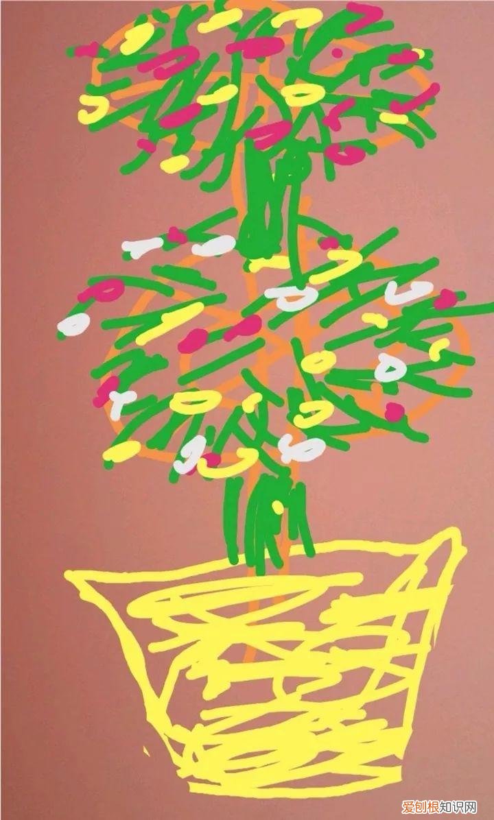 太阳花怎么成老桩，太阳花的花样养法，水管、木桩，别看枝条小，有地就能生根开花