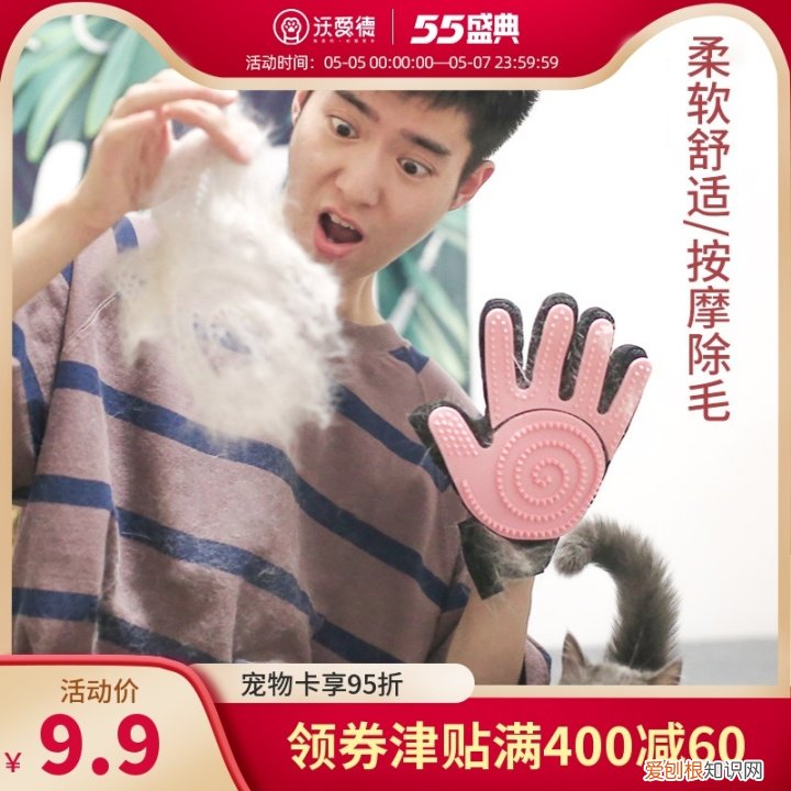 第一次养猫咪需要注意什么,第一次养猫需要准备什么以及了解哪些知识?