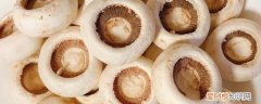 吃口蘑的禁忌有哪些 吃口蘑的禁忌