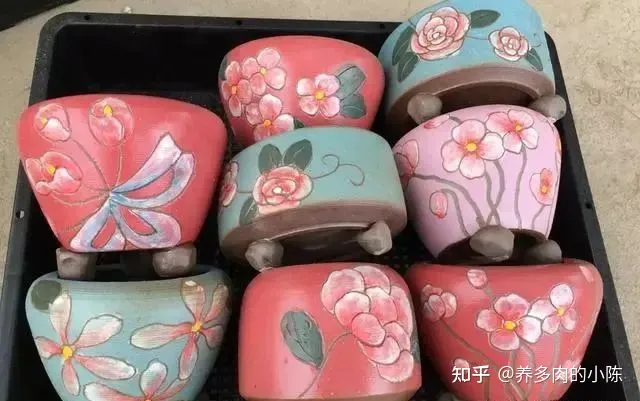 养多肉入门知识，养多肉的18个“步骤”详解，好懂好学，“绿菜”也能完美蜕变