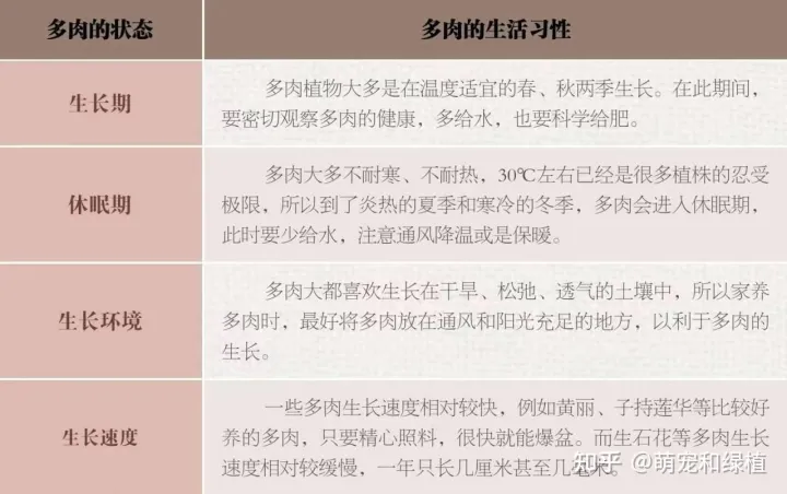 多肉怎样养的又大又肥，多肉怎么养才养得又肥又美？注意这五点就行