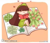 养多肉注意什么，多肉养护大总结，这7点学会了，啥肉都能养得活