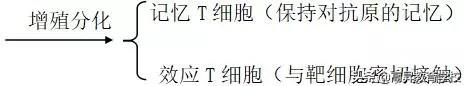 高中生物必修三动物和人体生命活动的调节，高中生物学习方法：动物和人体生命活动的调节知识点总结