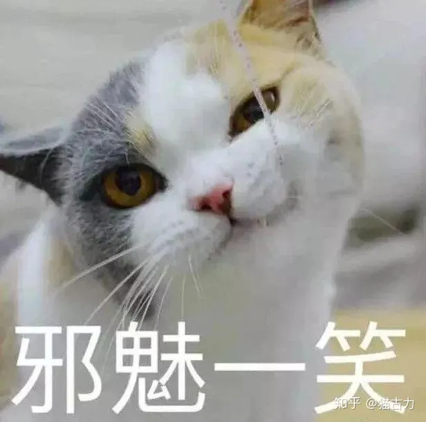 小奶猫怎么分辨公猫母猫，小奶猫性别傻傻分不清？只需4招，教你分辨小公猫和小母猫