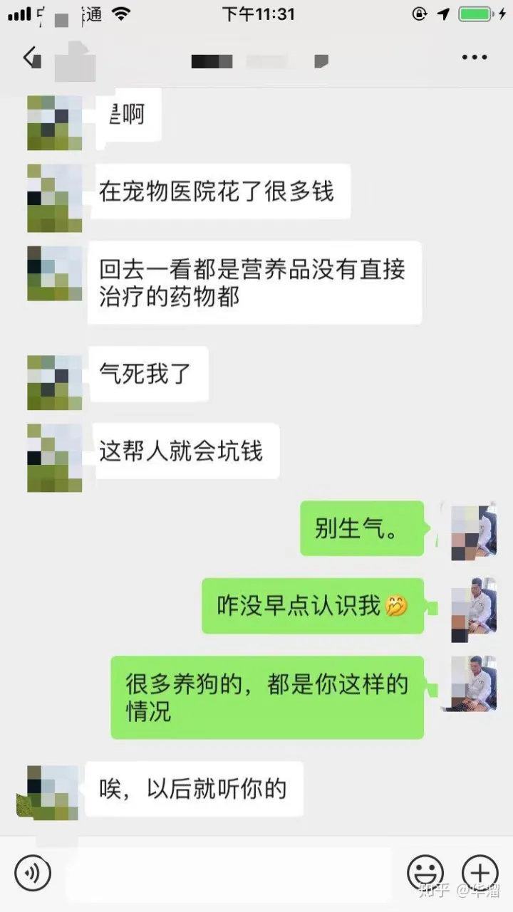 宠物常见疾病防治方法，三分钟了解宠物常见病症、