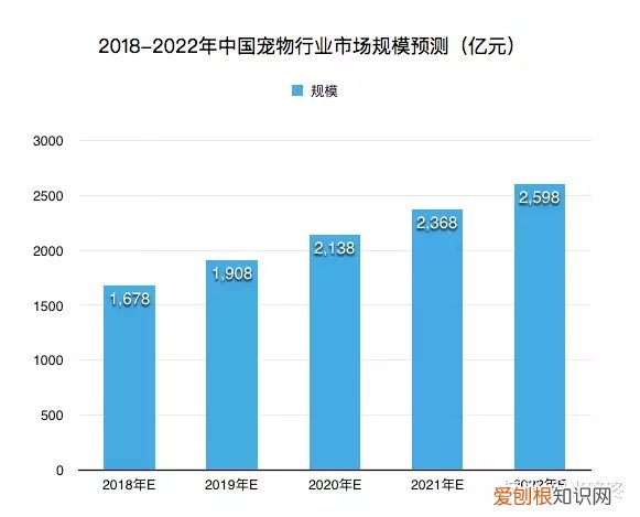 宠物行业的了解怎么写，你对宠物行业了解多少？