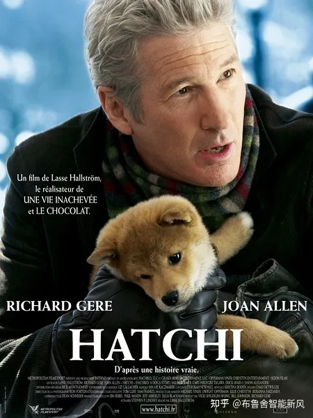 这些关于宠物的电影,你看哭了几部电影英语，这些关于宠物的电影，你看哭了几部？