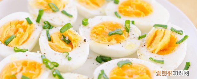 减肥到底能不能吃鸡蛋 鸡蛋减肥能吃吗《减肥能不能吃鸡蛋》