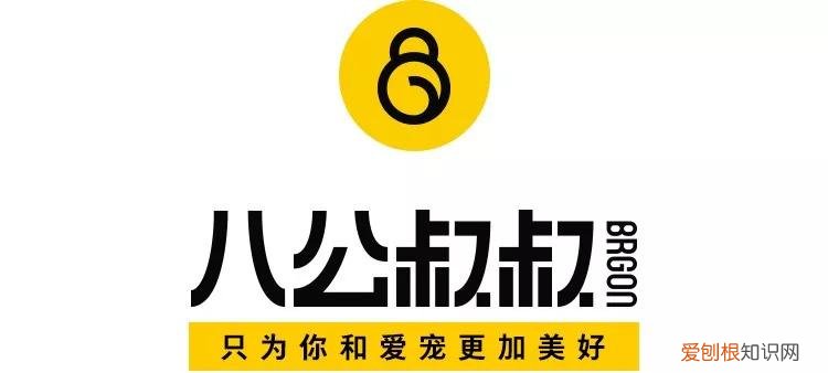 宠物饲养考试题，宠物知识“四六级”考卷，你敢来和新员工小王一决高下吗？