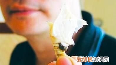 买螃蟹要怎么挑才会饱满