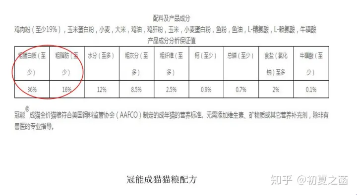 怎么训练狗和猫相处，你是如何发挥自己擅长的专业技能，让猫猫和狗狗的生活更有质量的？