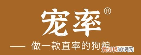 狗应该训练哪些常用技能，可以训练狗狗哪些有用的技能？