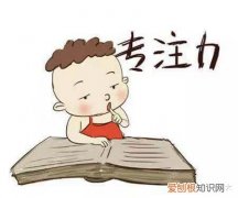 如何培养宝宝专注力，如何培养宝宝专注力？