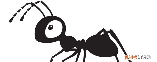蚁酸对人的危害及作用 蚁酸对人的危害