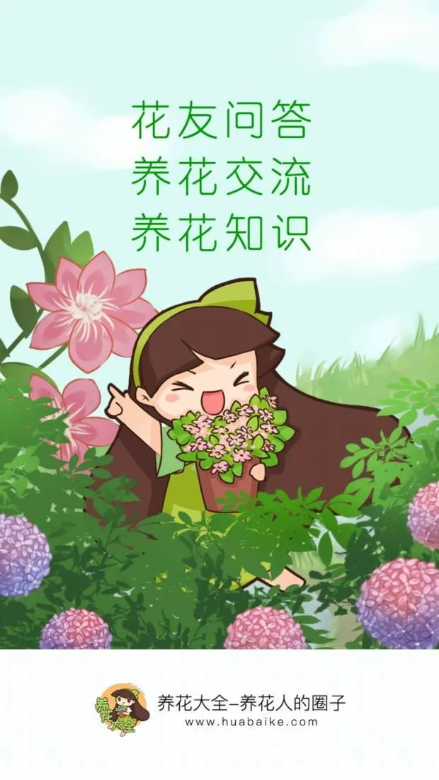 适合家里好养的花，养花app推荐？