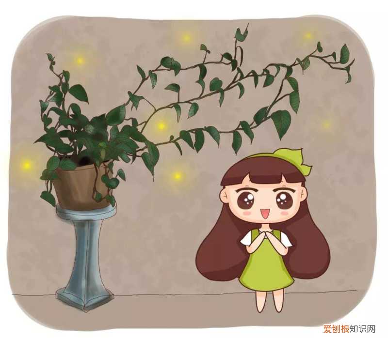 植物放什么可以疯长，植物的疯长小机关，养花注意这几点，家里的植物长得快