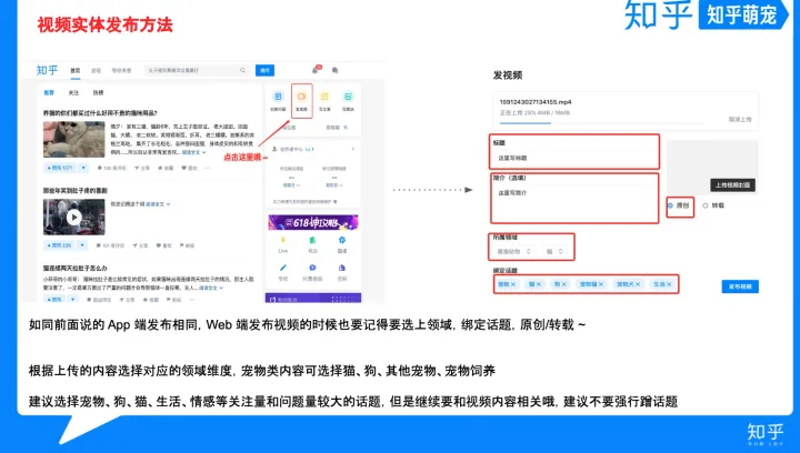 怎样混剪视频不算侵权，简单明了的宠物视频手册来了~