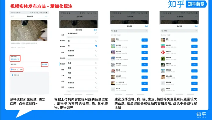 怎样混剪视频不算侵权，简单明了的宠物视频手册来了~