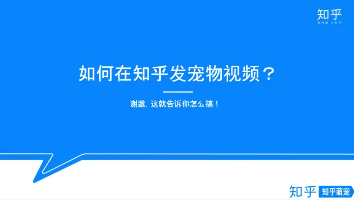 怎样混剪视频不算侵权，简单明了的宠物视频手册来了~