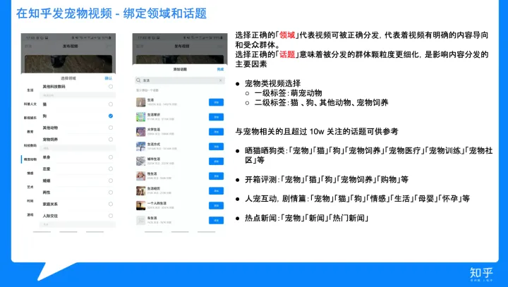 怎样混剪视频不算侵权，简单明了的宠物视频手册来了~