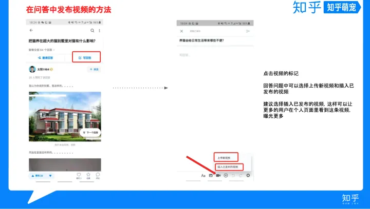 怎样混剪视频不算侵权，简单明了的宠物视频手册来了~