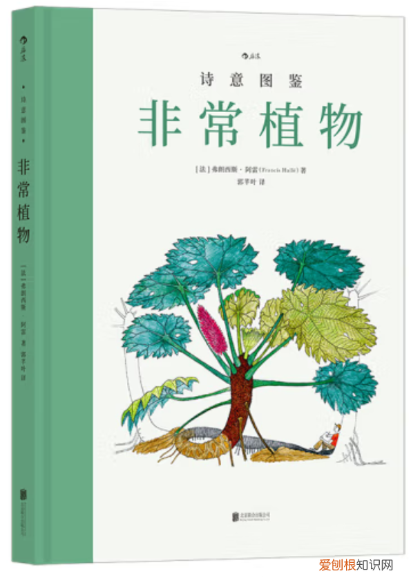 有趣的植物世界这本书的内容怎么写三年级，书单 | 借助一本书，走进植物世界
