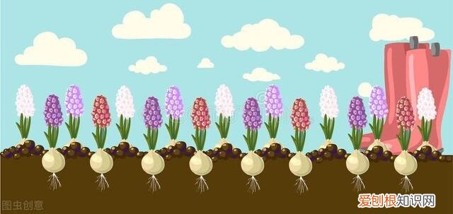 花卉相关书籍,园艺相关书籍、杂志等推荐,让你沉迷于园艺的知识海洋当中