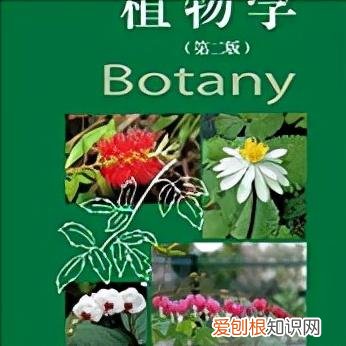 花卉相关书籍,园艺相关书籍、杂志等推荐,让你沉迷于园艺的知识海洋当中