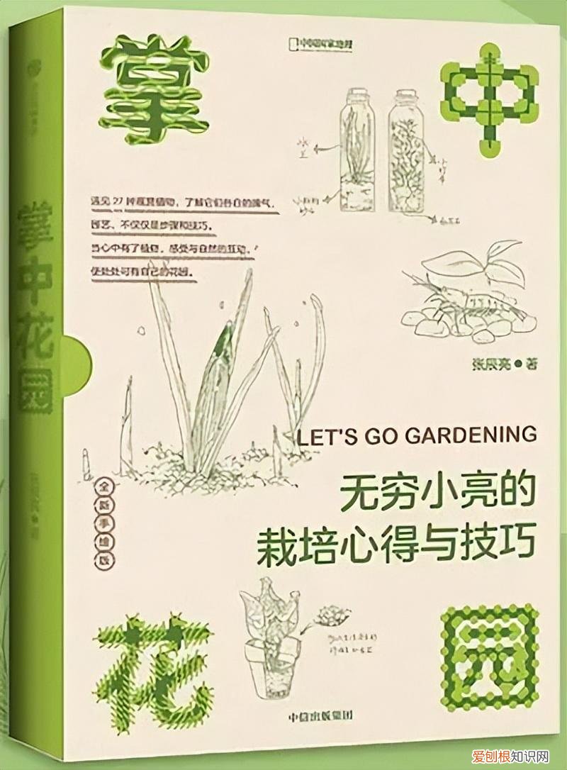 手中花图片,《掌中花园》:种花、识花,怡情又增长见识