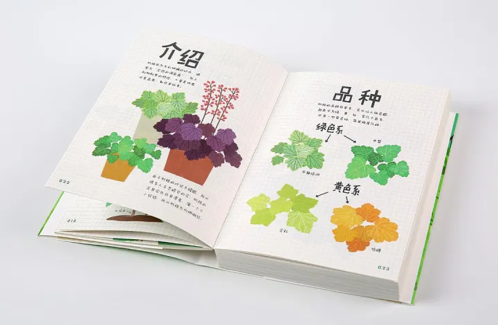 园艺入门书籍推荐,养花新手,求推荐从种子到长大的相关书籍?