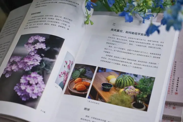 园艺入门书籍推荐,养花新手,求推荐从种子到长大的相关书籍?