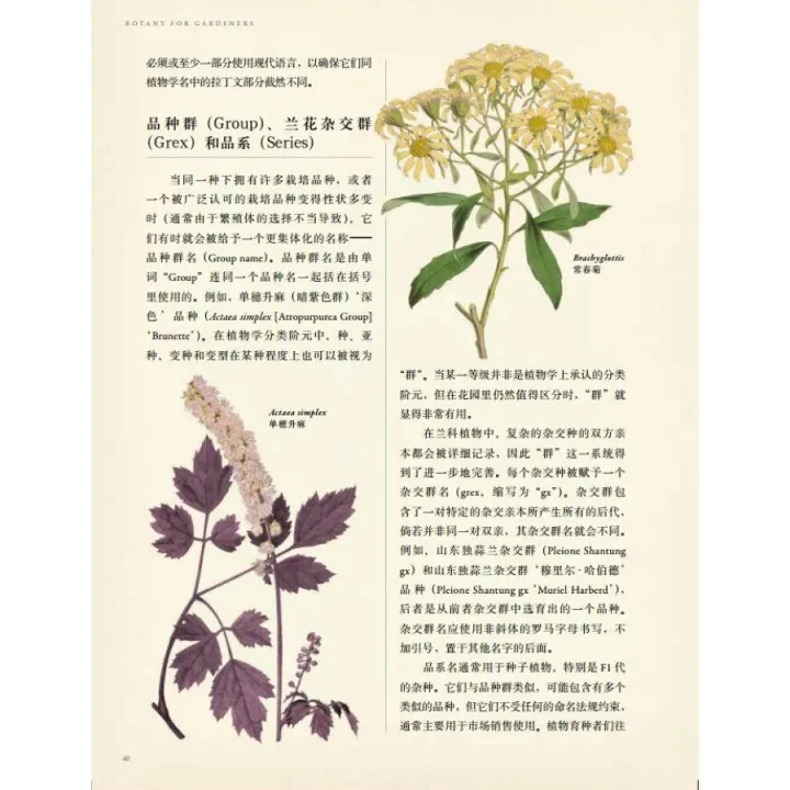 园艺入门书籍推荐,养花新手,求推荐从种子到长大的相关书籍?