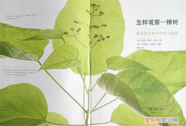 园艺入门书籍推荐,养花新手,求推荐从种子到长大的相关书籍?