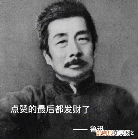 可以推荐一些介绍鲜花的书籍吗英文,可以推荐一些介绍鲜花的书籍吗?