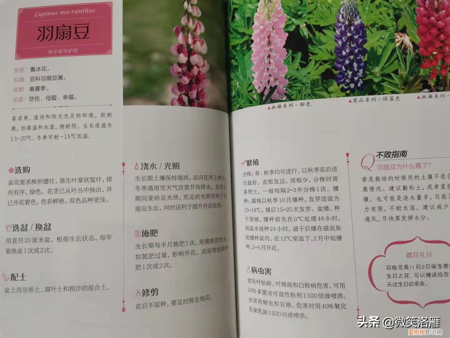 园林花卉栽培技术书籍，推荐家庭园艺书《零基础学养花》养花技巧+品种图鉴，养花速成