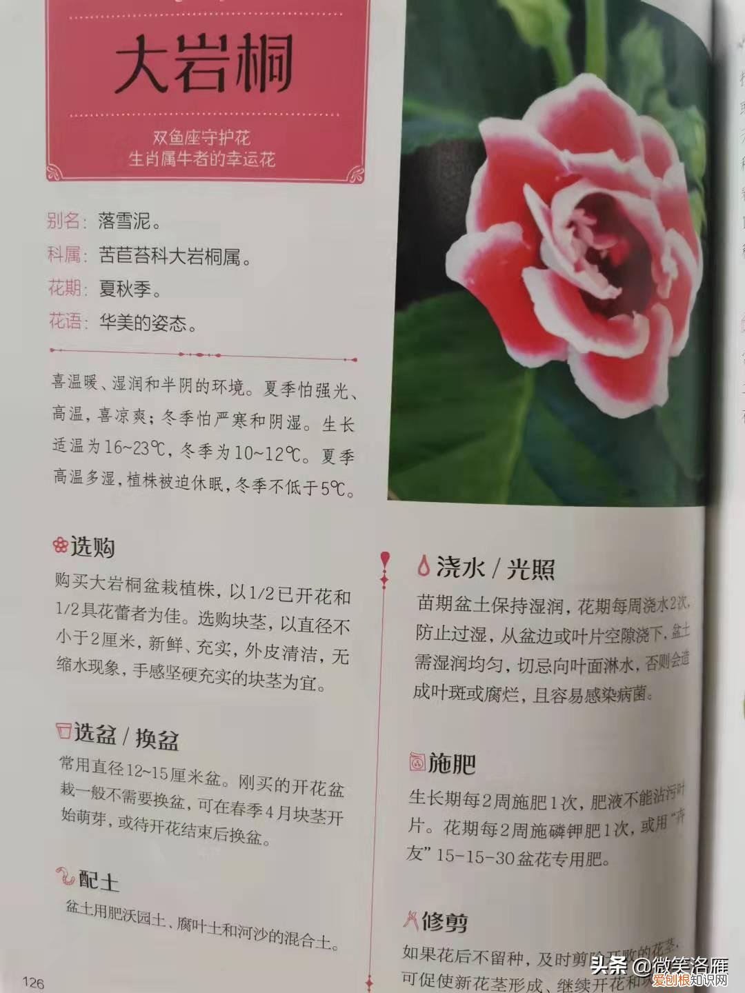 园林花卉栽培技术书籍，推荐家庭园艺书《零基础学养花》养花技巧+品种图鉴，养花速成