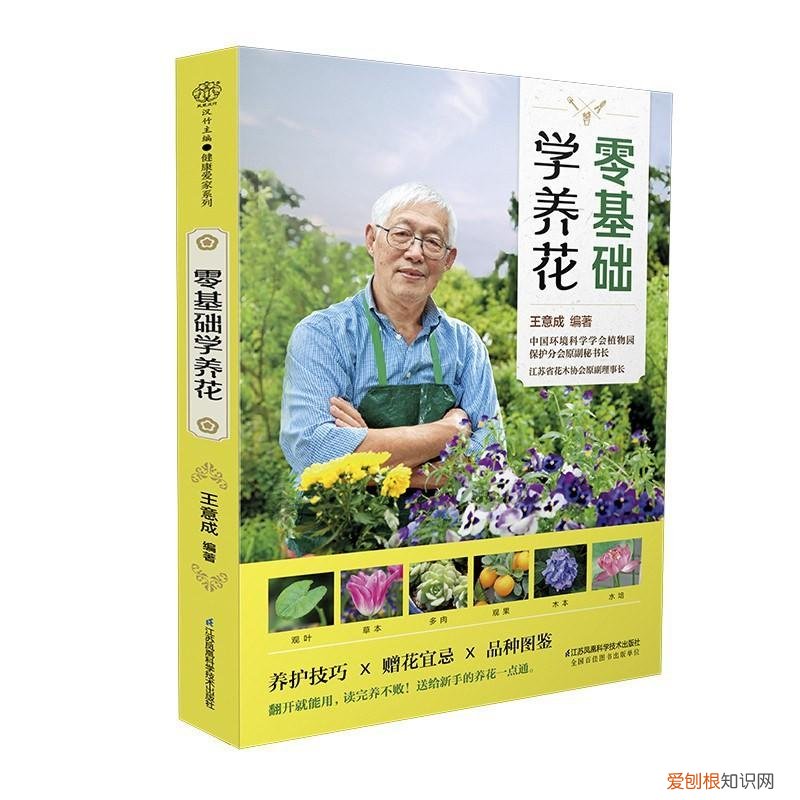 养花的要领,《零基础学养花》:一本绝对合格的小白养花指南