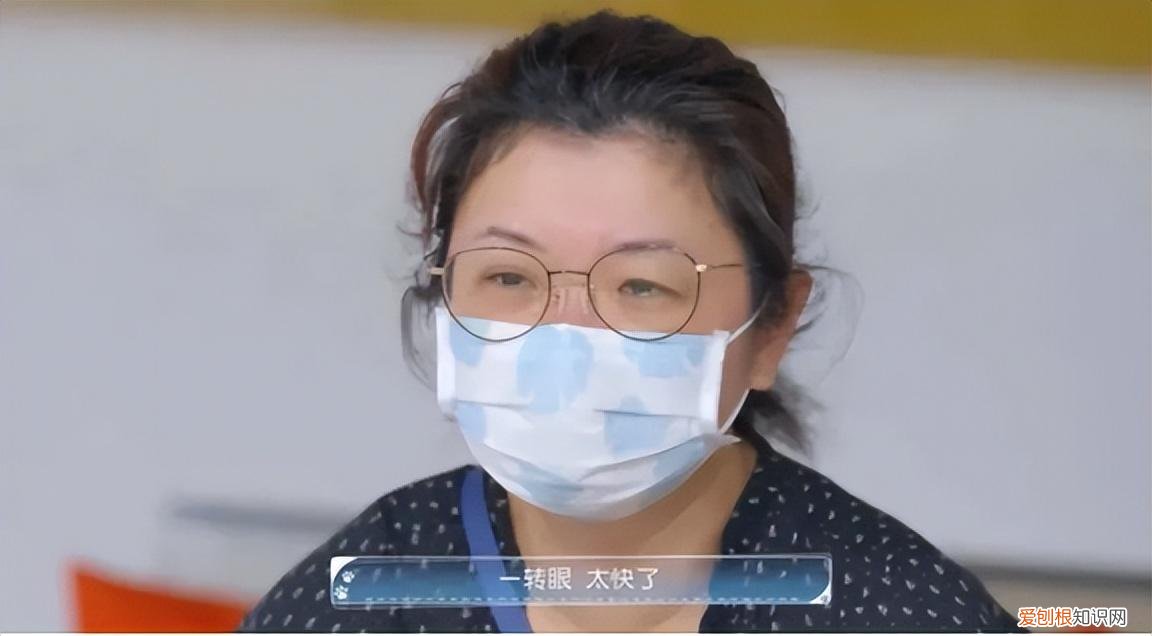 当一名宠物医生,《宠物医生》:所有生命都应得到同等尊重