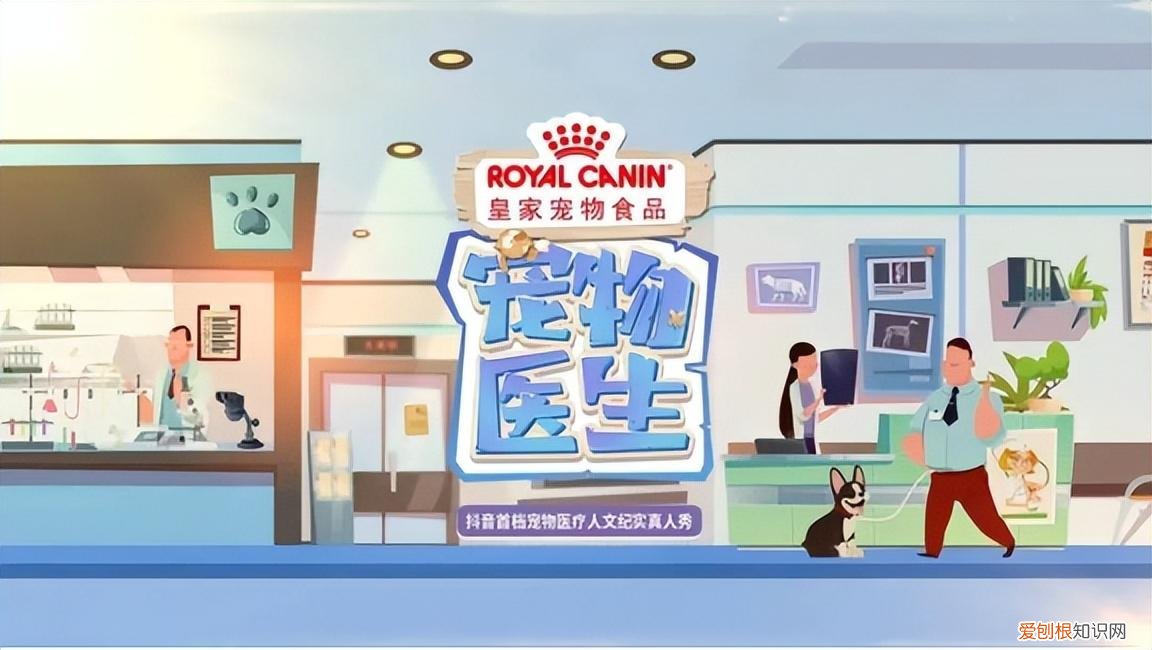 当一名宠物医生,《宠物医生》:所有生命都应得到同等尊重