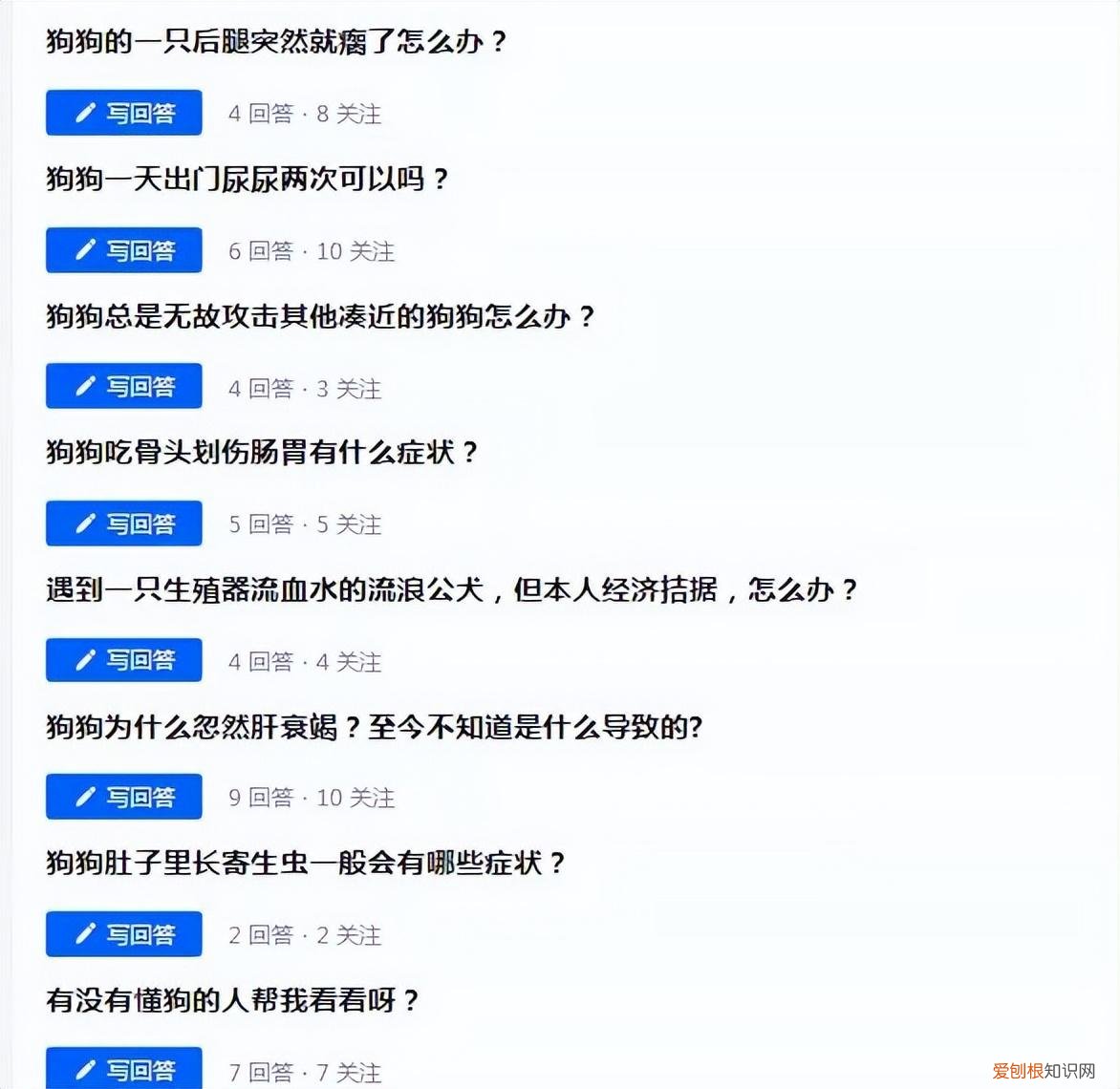 怎么能当上宠物医生，被压榨的宠物医生小姐姐如何通过副业破局？