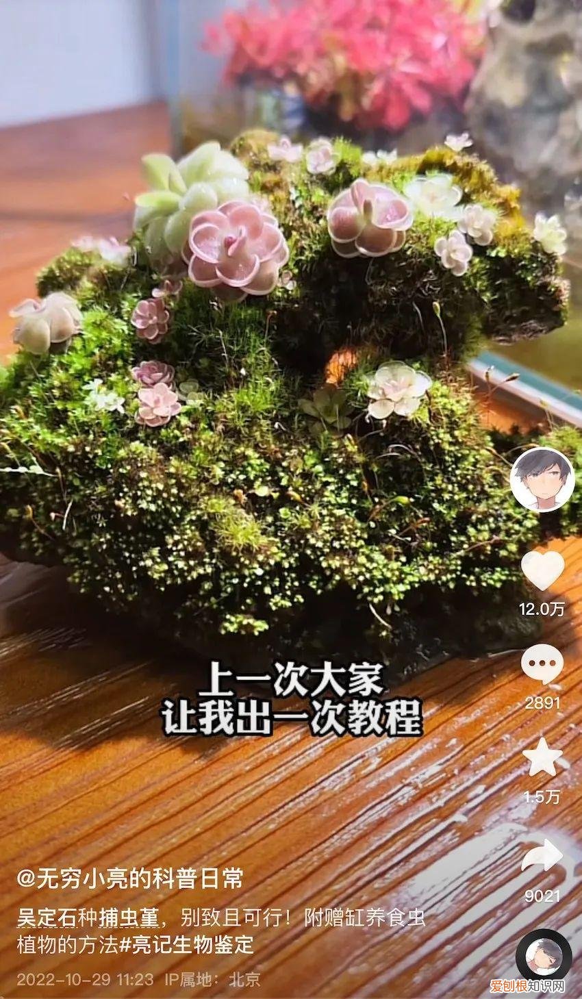 有三千万粉丝的男顶流，全网坐拥3500万粉丝的科普男神又出新书了，快去种草