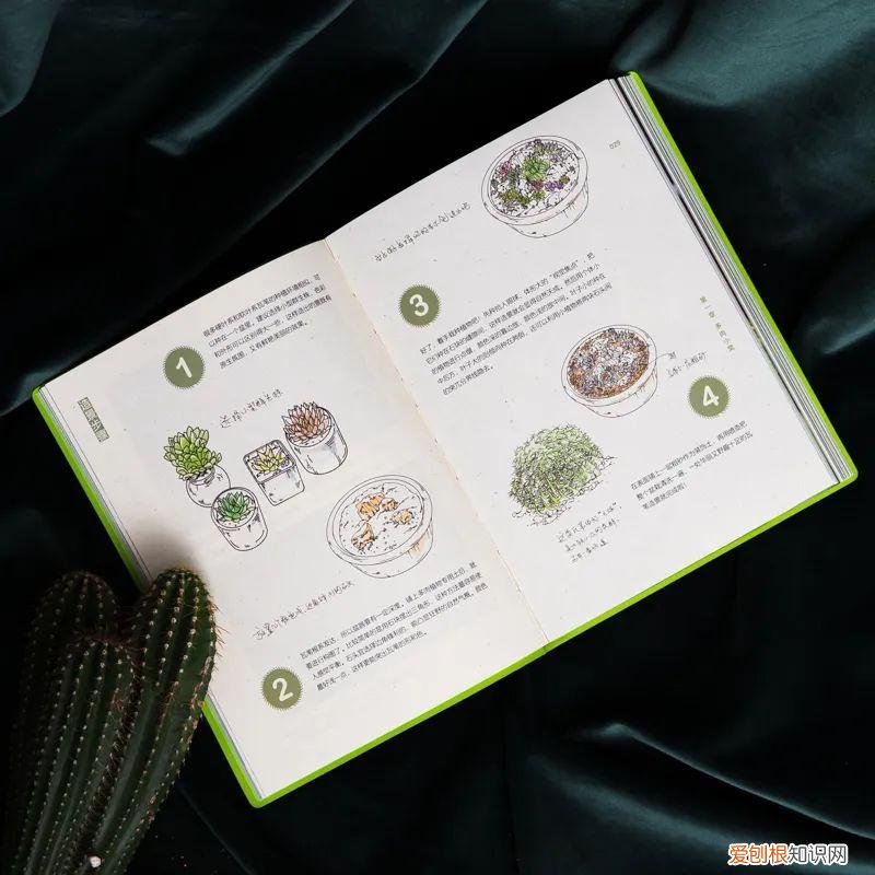 有三千万粉丝的男顶流，全网坐拥3500万粉丝的科普男神又出新书了，快去种草