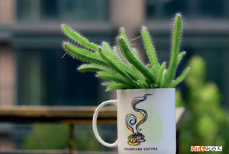 有三千万粉丝的男顶流，全网坐拥3500万粉丝的科普男神又出新书了，快去种草