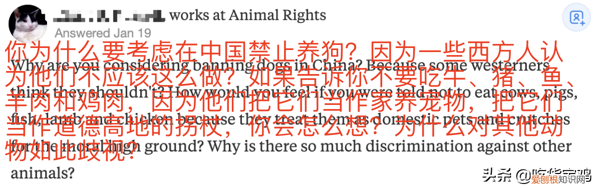 养狗注意事项知乎，美版知乎提问：他们应该禁止中国人养狗吗？