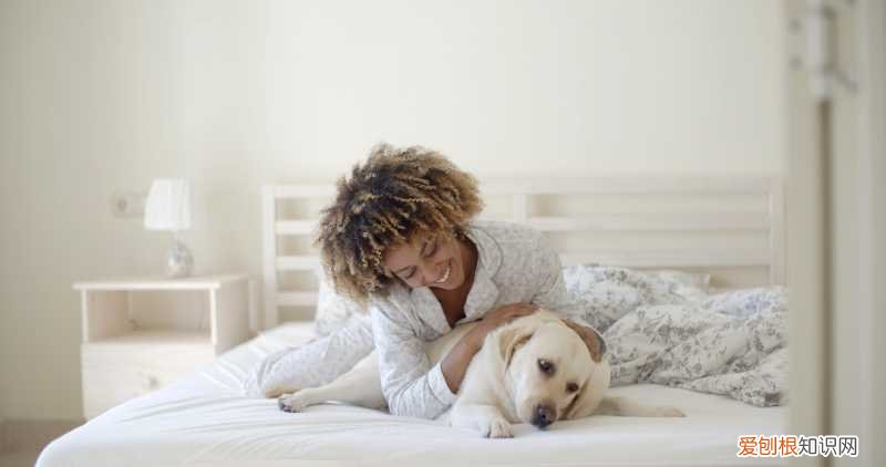 养狗的不好处有哪些，养狗的好处和坏处，看了之后你还想养狗吗？