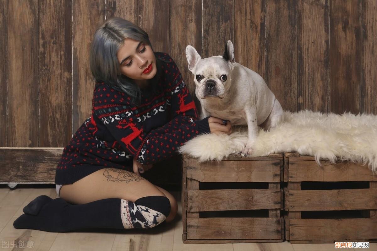 消费观：宠物沟通师靠谱吗？花200块钱跟我的狗唠了一次